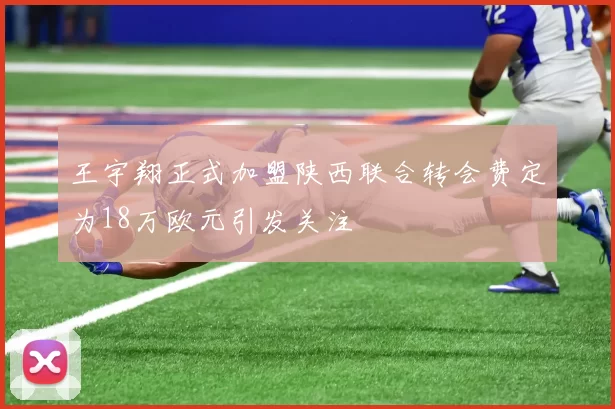 王宇翔正式加盟陕西联合转会费定为18万欧元引发关注