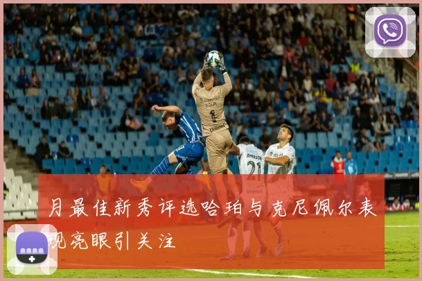 月最佳新秀评选哈珀与克尼佩尔表现亮眼引关注